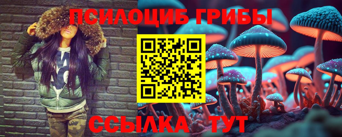 Борисоглебск  Псилоцибиновые грибы ЛСД  Вход с VPN 